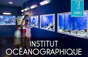 ile des embiez musée océanographique