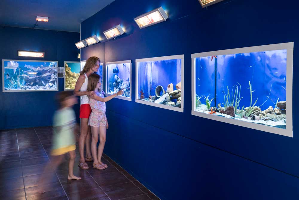 Aquarium de l'Institut océanographique Paul Ricard sur l'île des Embiez