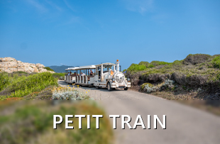 Petit train touristique sur l'île des Embiez