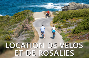 Location de vélo et rosalies sur l'île des Embiez
