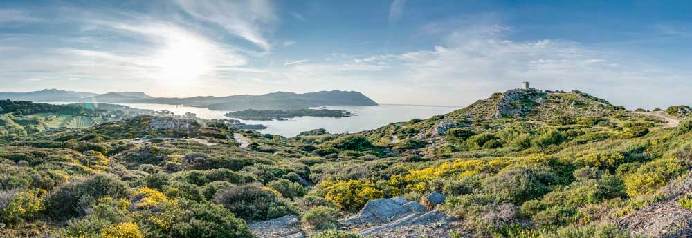 Vue panoramique de l'île des Embiez, acquise par Paul Ricard en 1958