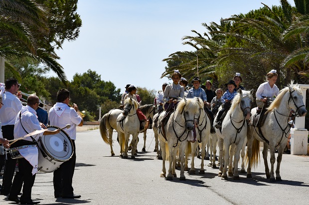 La Camargue aux Embiez 2018
