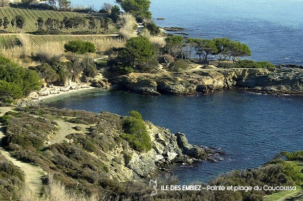 plages et criques de l'île des embiez