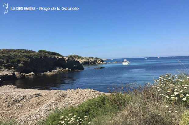 plages et criques de l'île des embiez