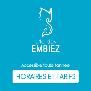 Embier