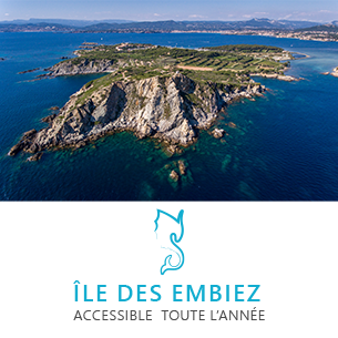 Embier