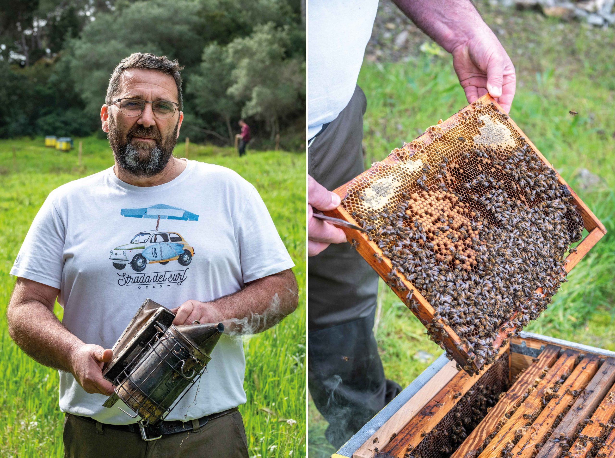 Installation de ruches sur l'île des Embiez par Bruno Comes, apiculteur Six-Fournais